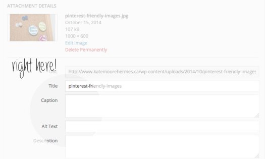 How to Make Your Images Pinterest-Friendly || Kate Moore Hermes Graphic Design + WordPress Development
