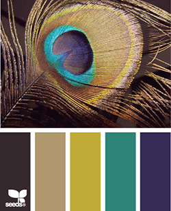 Peacock colour palette